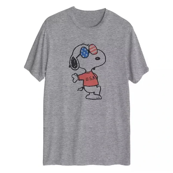 NEW! American Sunglasses Snoopy Gray Tee Shirt, Crew Neck, Size Small - Picture 1 of 1